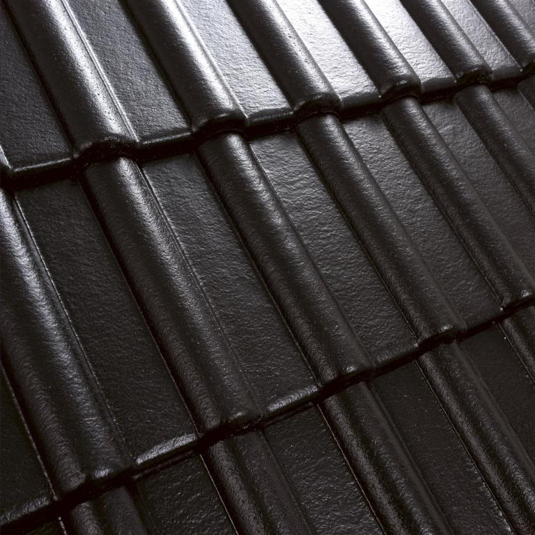 Mecklenburger schwarz